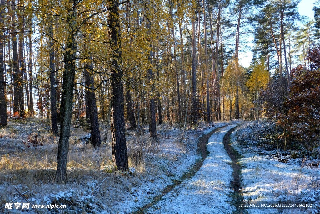 雪覆林间小道 秋色迷人