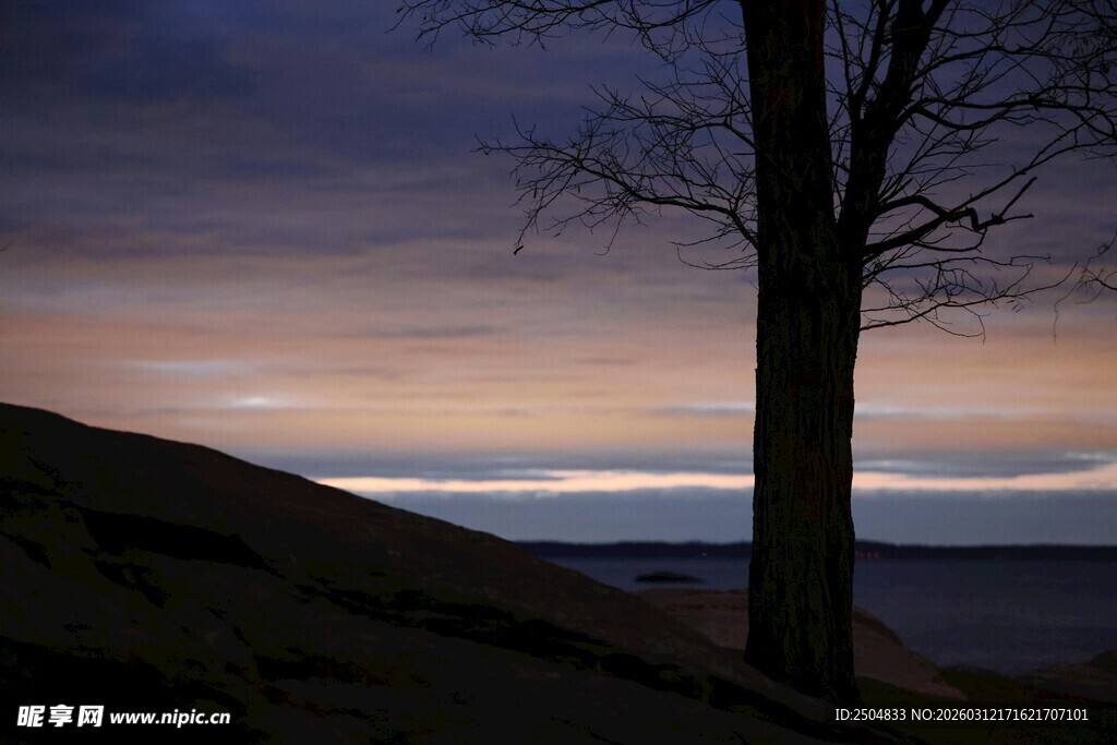 黄昏孤树 天边绚丽景致