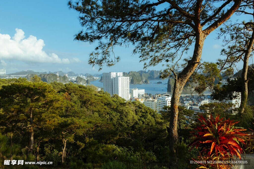 山林间的城市景致