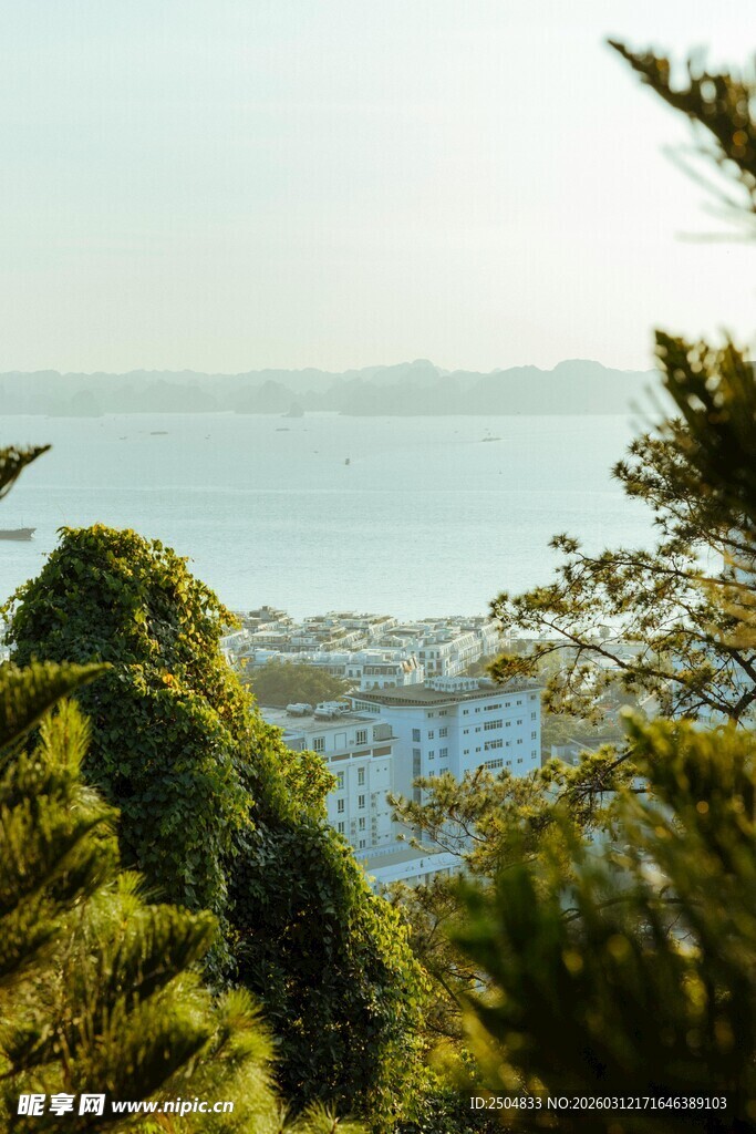 山林间远眺城市与水域景观