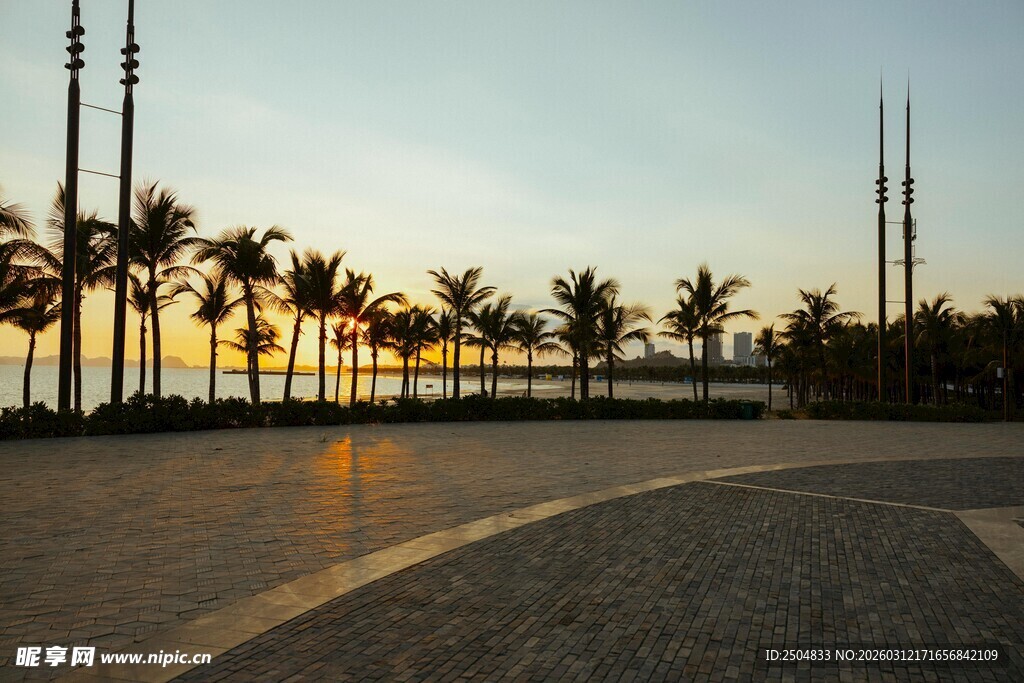 海滨日落时的椰树与步道