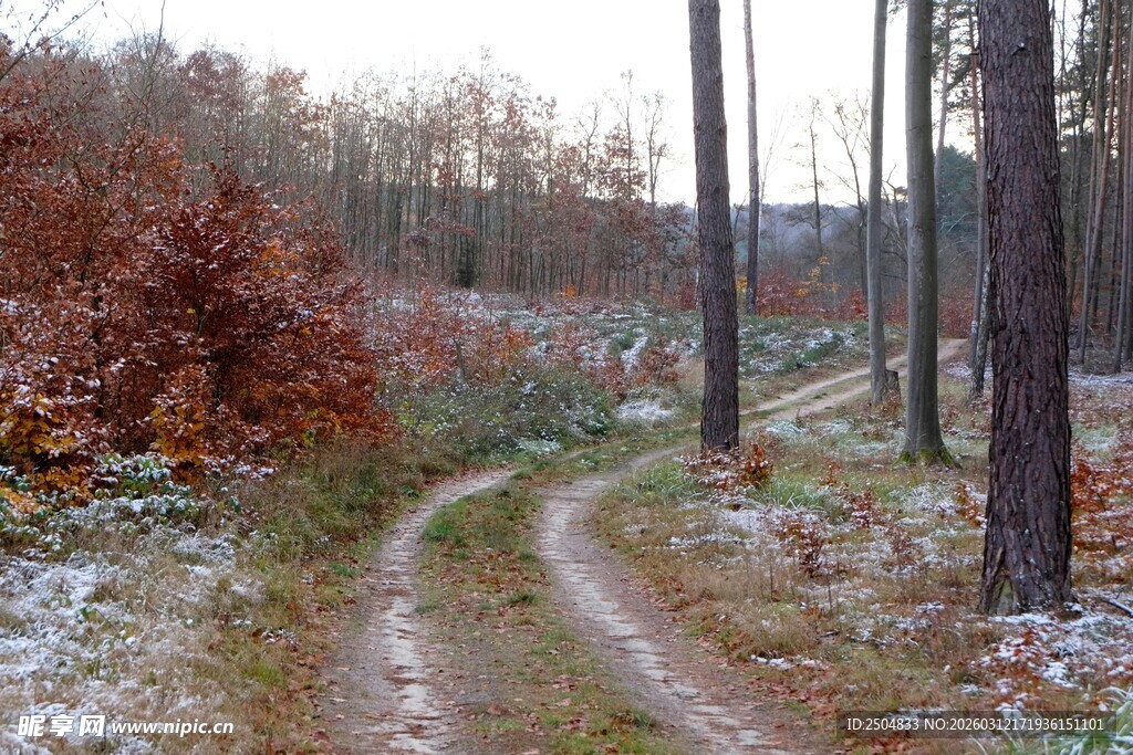 林间雪覆小径秋景