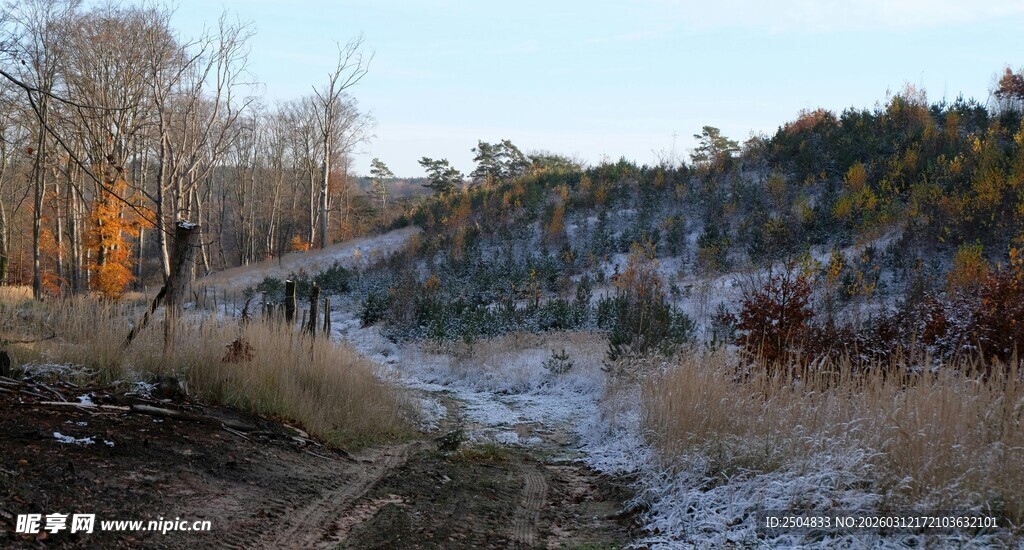 冬日山间小径景色