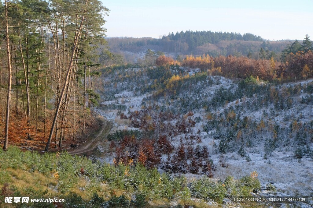 冬日山林雪景风光