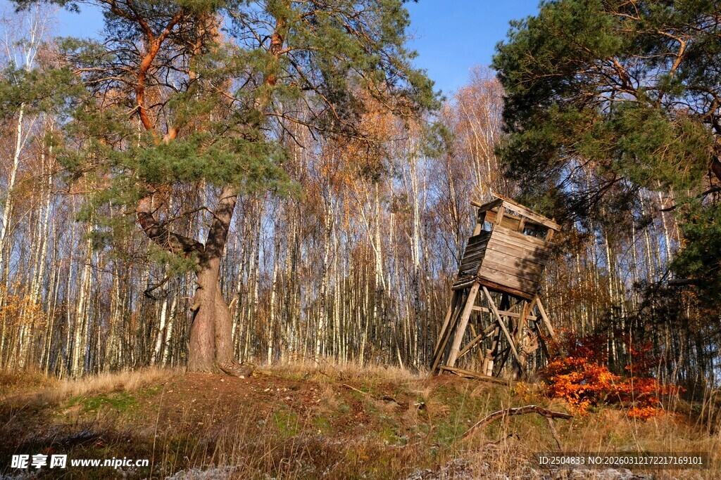 林中狩猎瞭望台