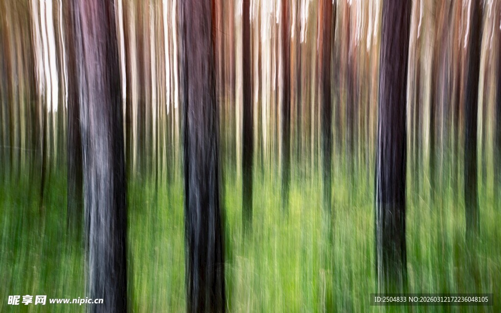 梦幻森林树木模糊景象