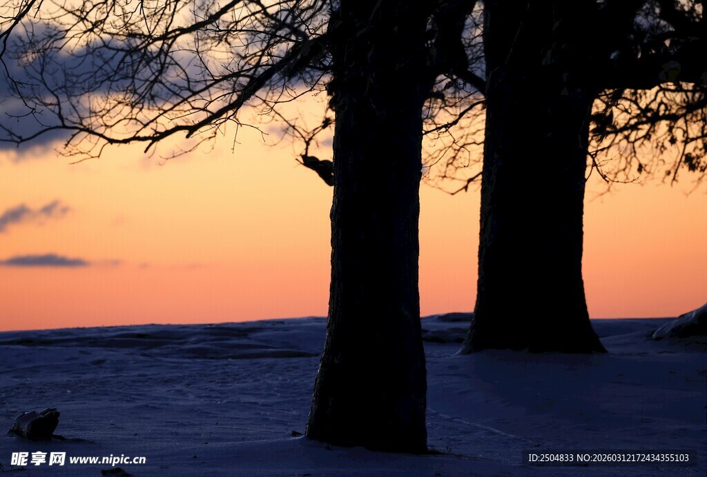 雪林暮色
