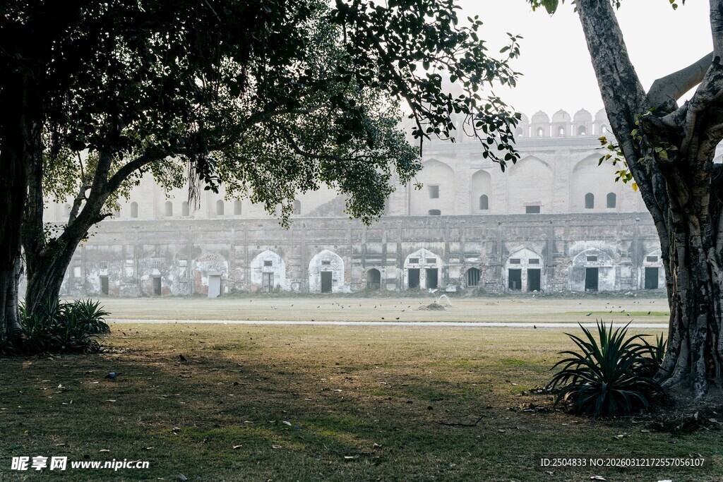 庭院绿树与远方建筑景观