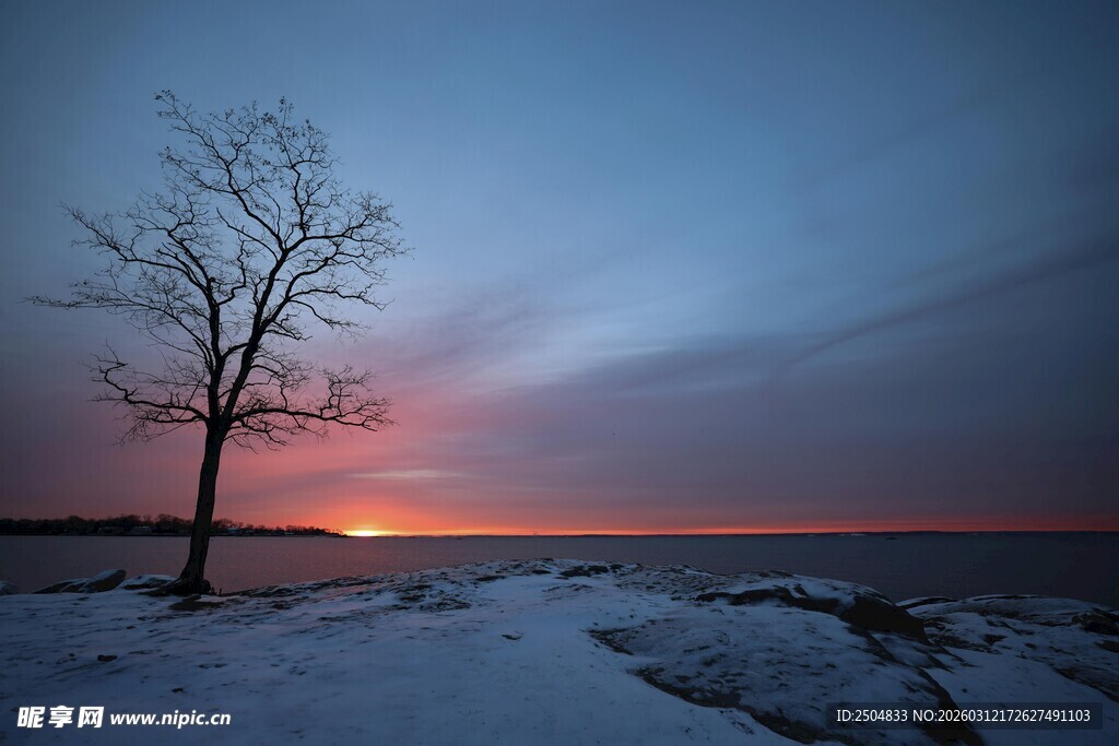 冬日湖畔孤树日落美景