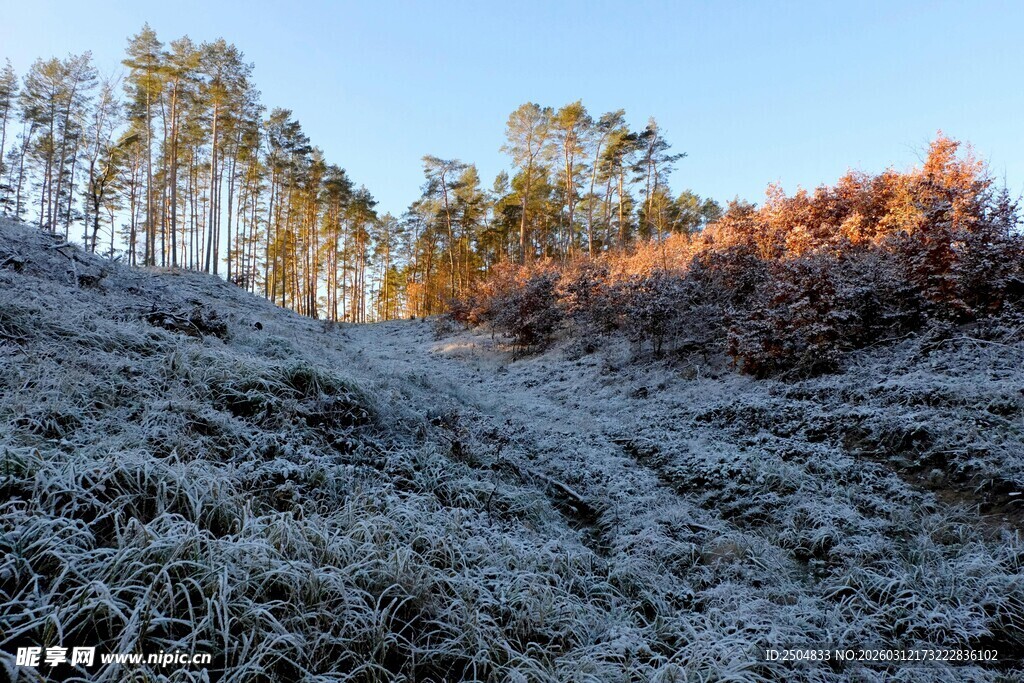 霜覆山林景观