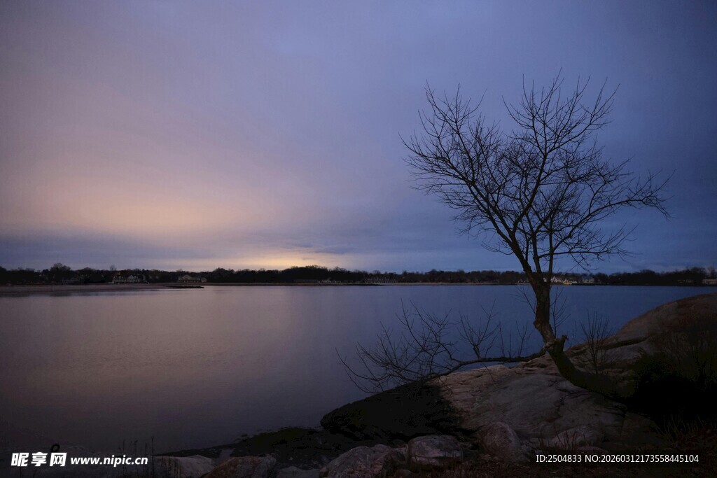 湖畔孤树 暮色湖景