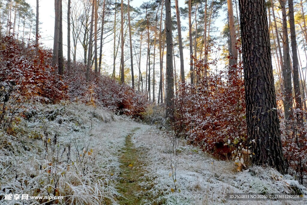 雪覆山林间的秋日景象