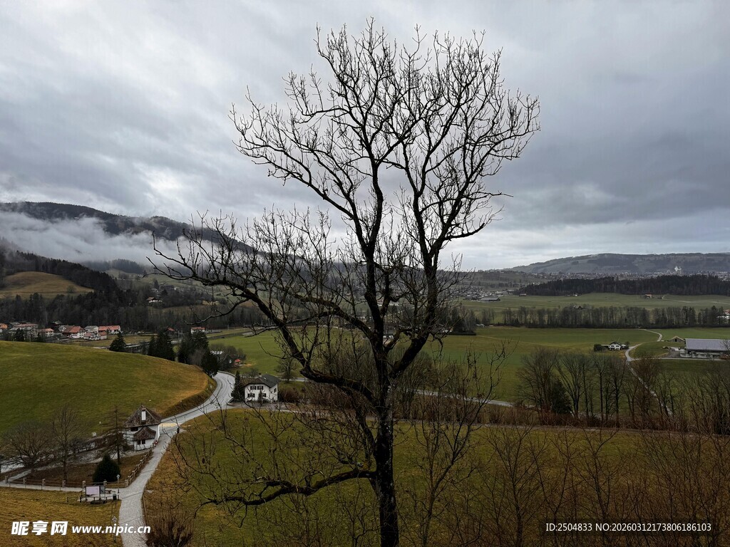 山间孤树与蜿蜒小路