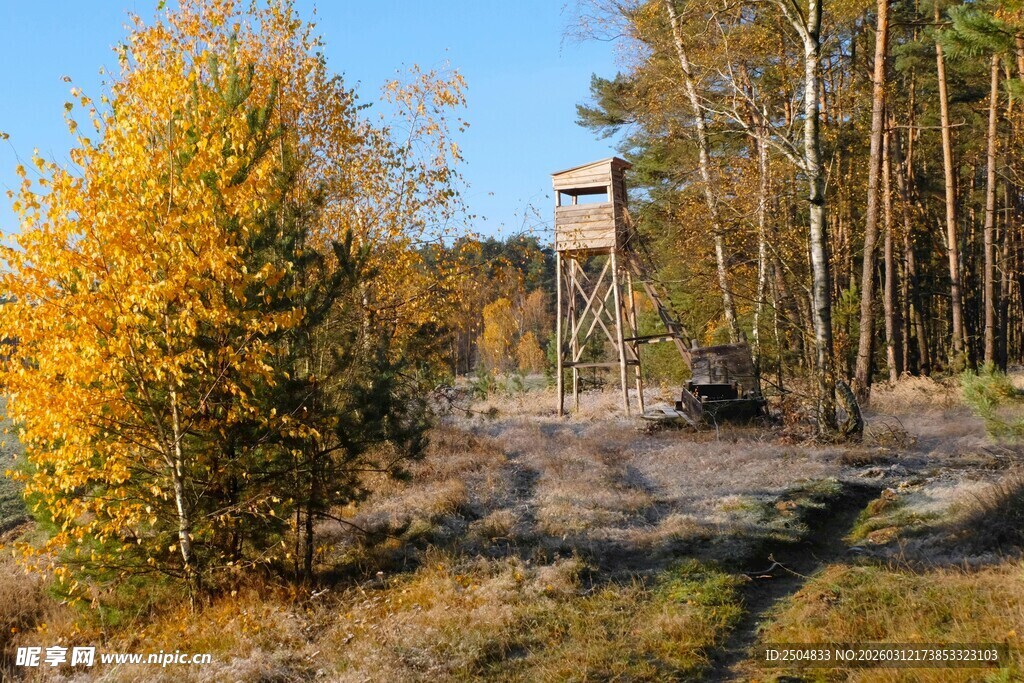 秋日森林中的瞭望塔