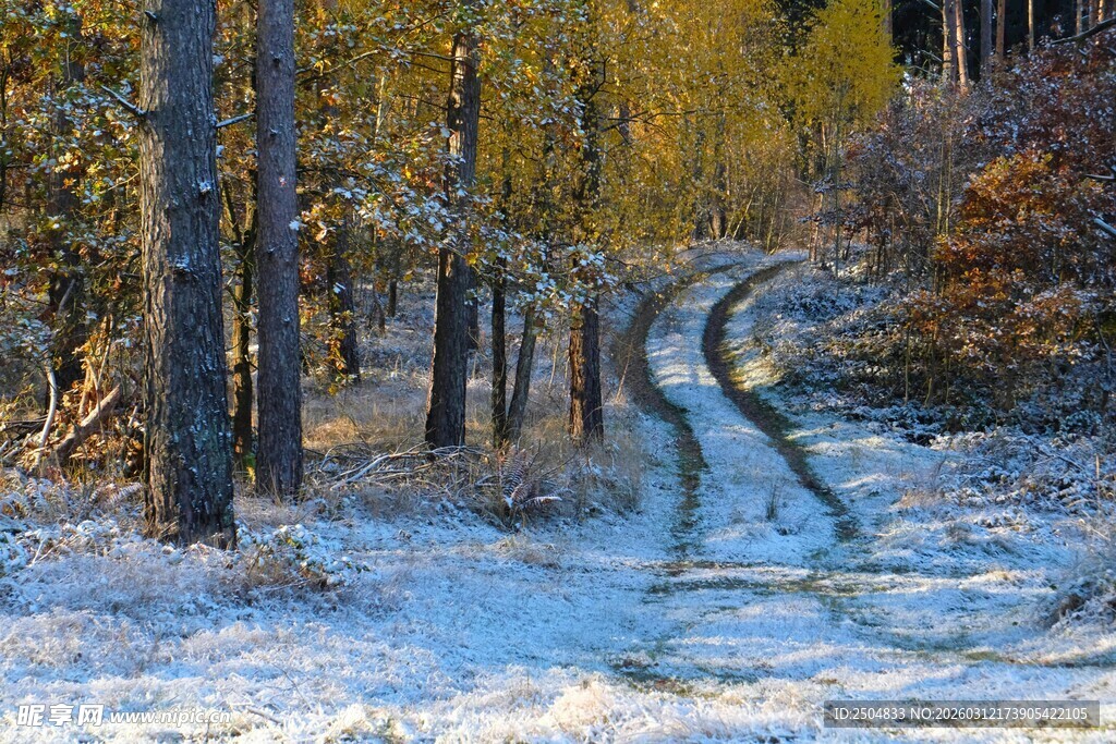 雪覆林间小径秋景如画
