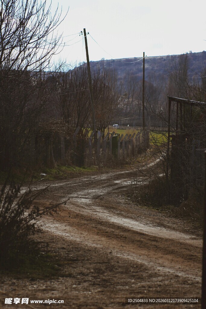 乡村土路风景