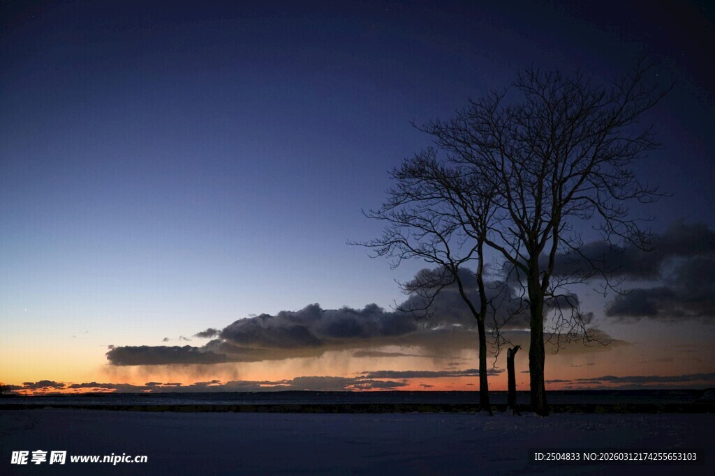 黄昏旷野中的孤树剪影