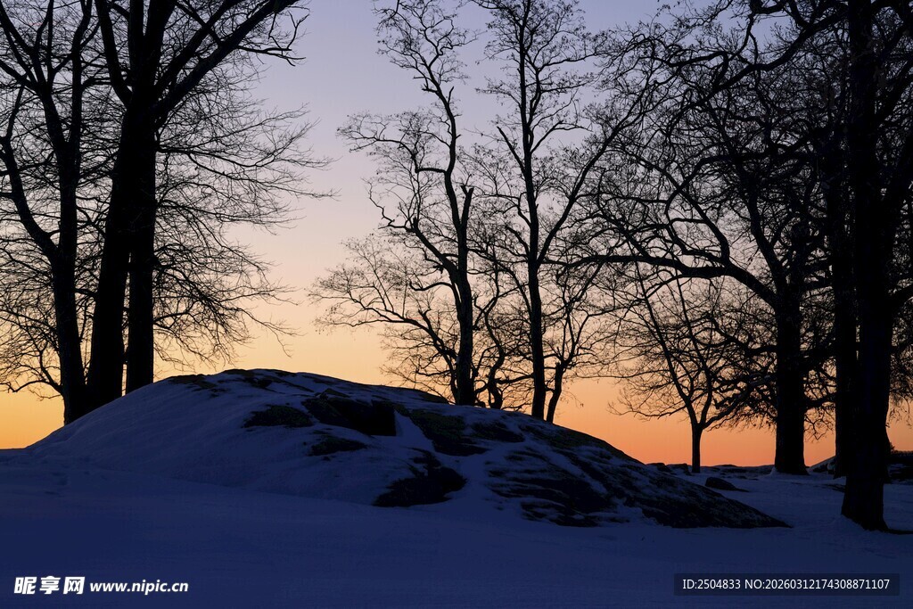 冬日雪林黄昏美景