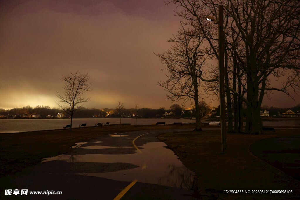 夜幕下的积水道路与树木