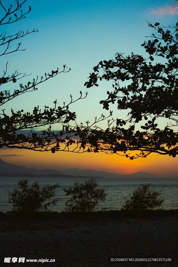 夕阳下的树梢与天际美景