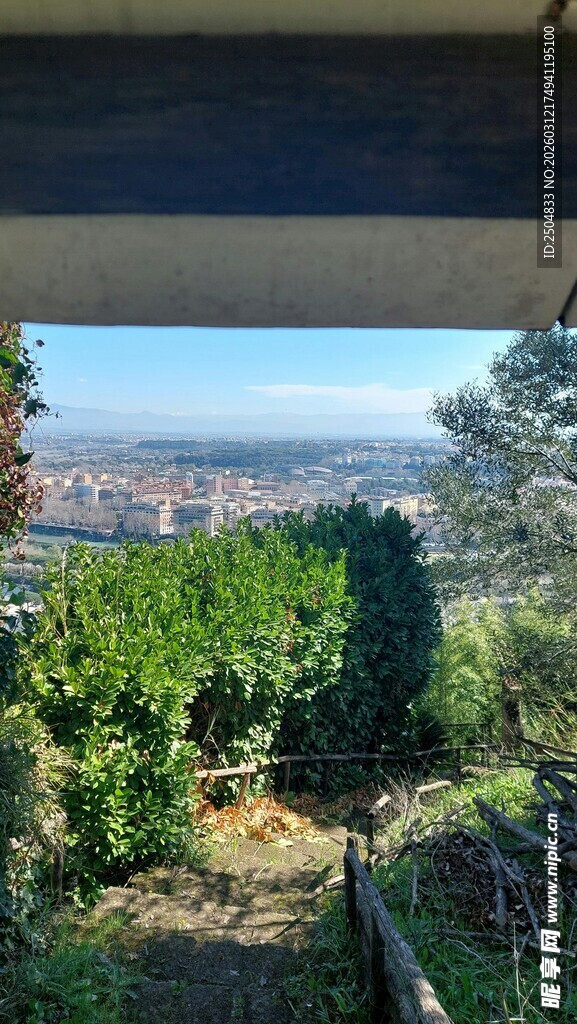 山间景致 绿植环绕的视野