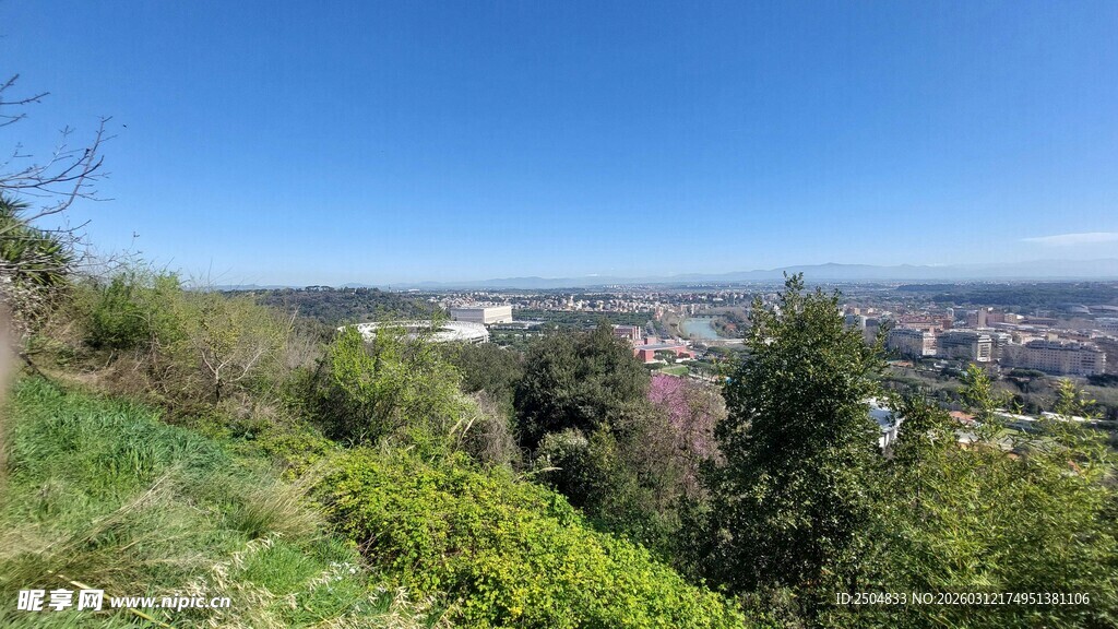 俯瞰绿意盎然的城市景观