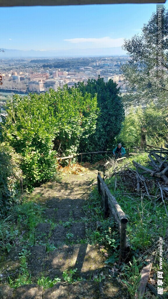 俯瞰绿意盎然的城市风光