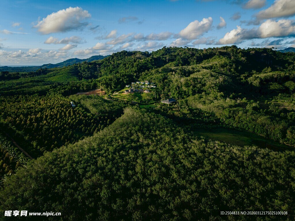 俯瞰葱郁山林美景