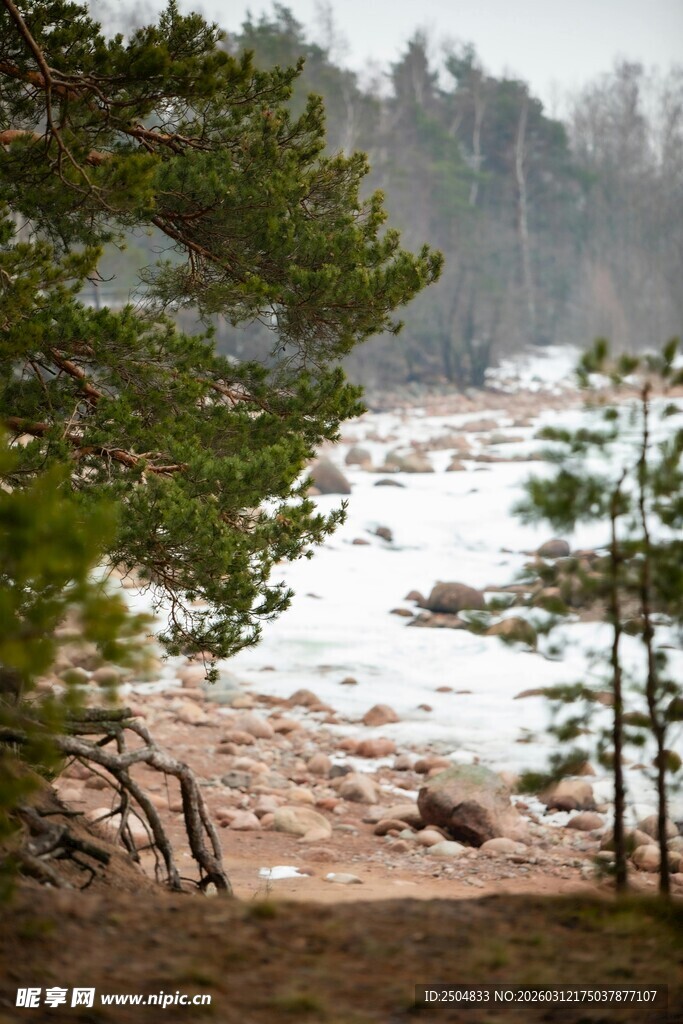 林间湍急溪流自然美景