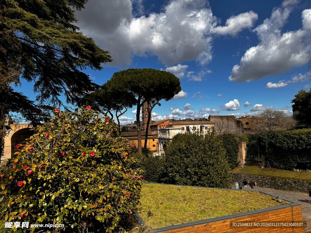 美丽户外花园景观