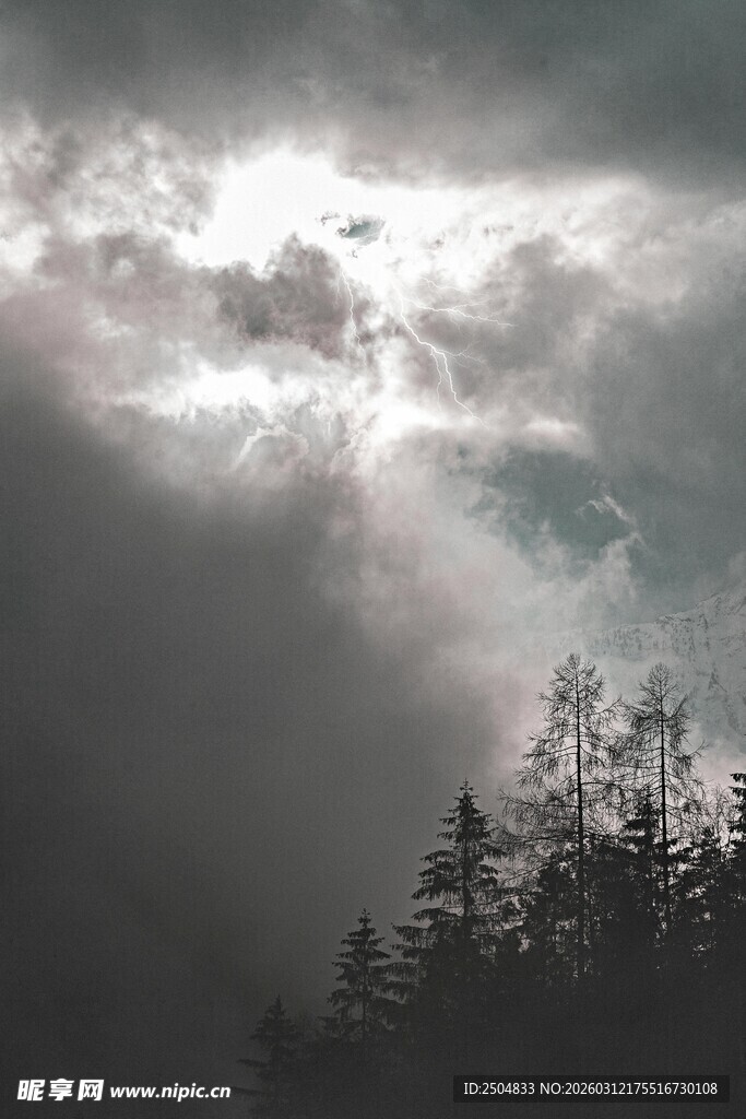 乌云中透射光芒的森林景色