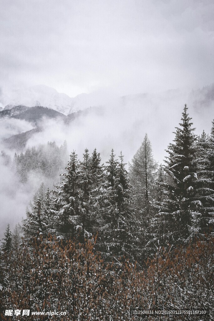 雪覆山林间云雾缭绕景