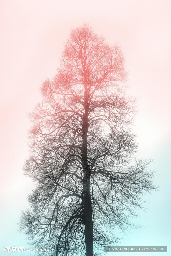 孤树映于 变天空