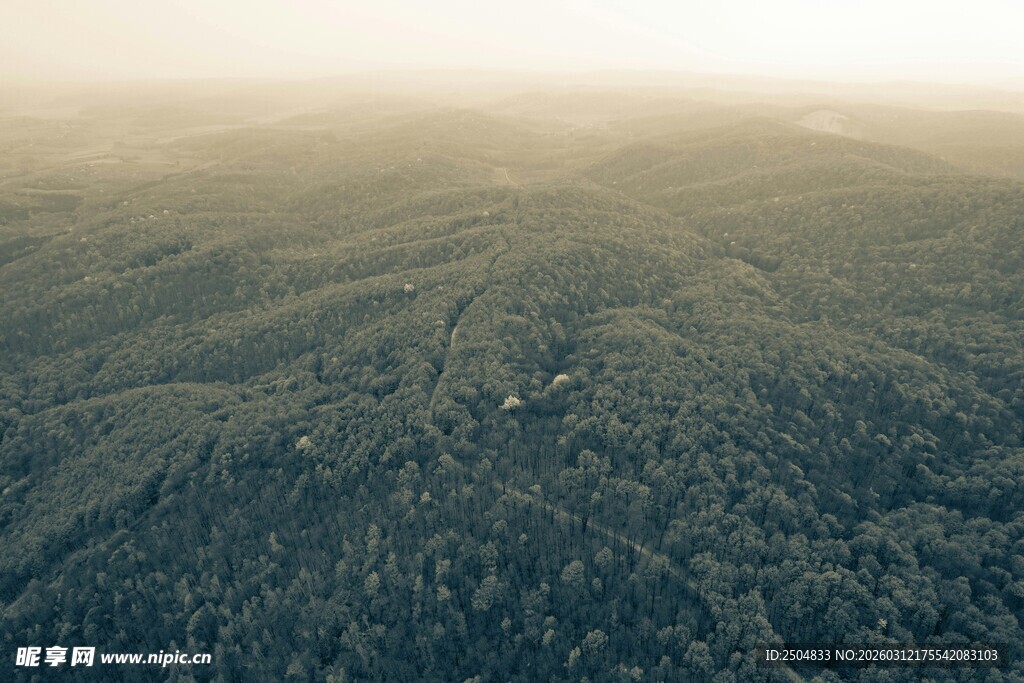 俯瞰广袤葱郁山林景观