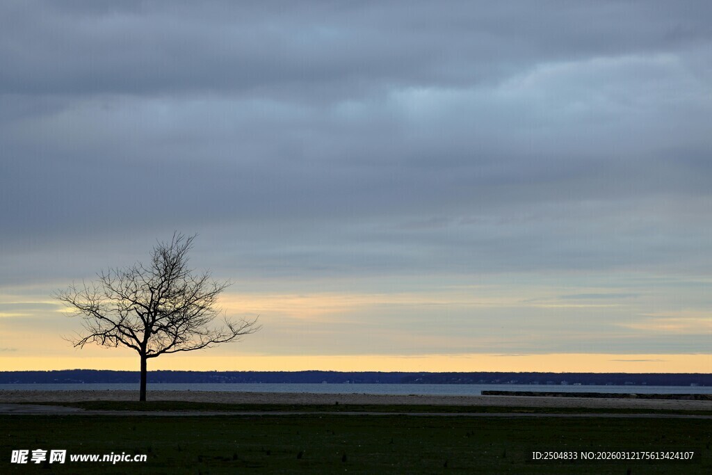 孤树映黄昏美景