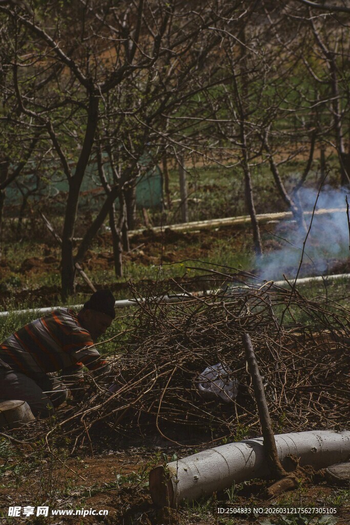 乡村野外的静谧生活场景