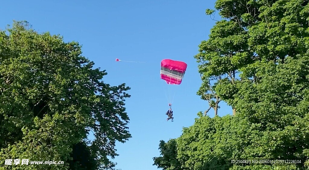 蓝天绿树间的彩色热气球