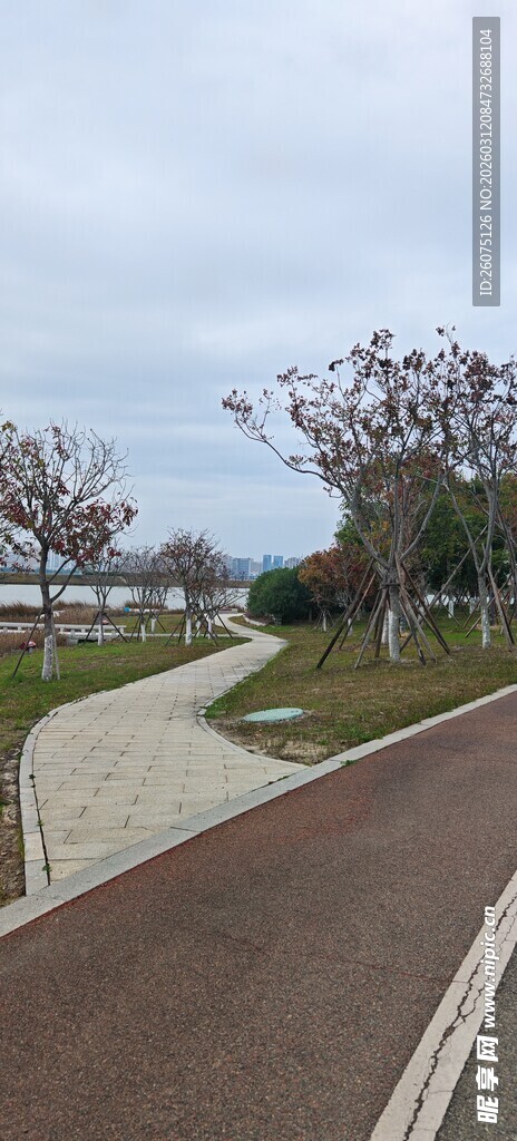 城市公园中的休闲步道