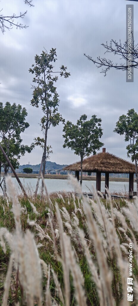 湖畔草间凉亭风景如画