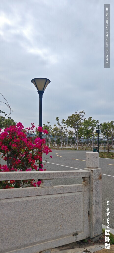 栏杆上绽放的鲜艳花卉