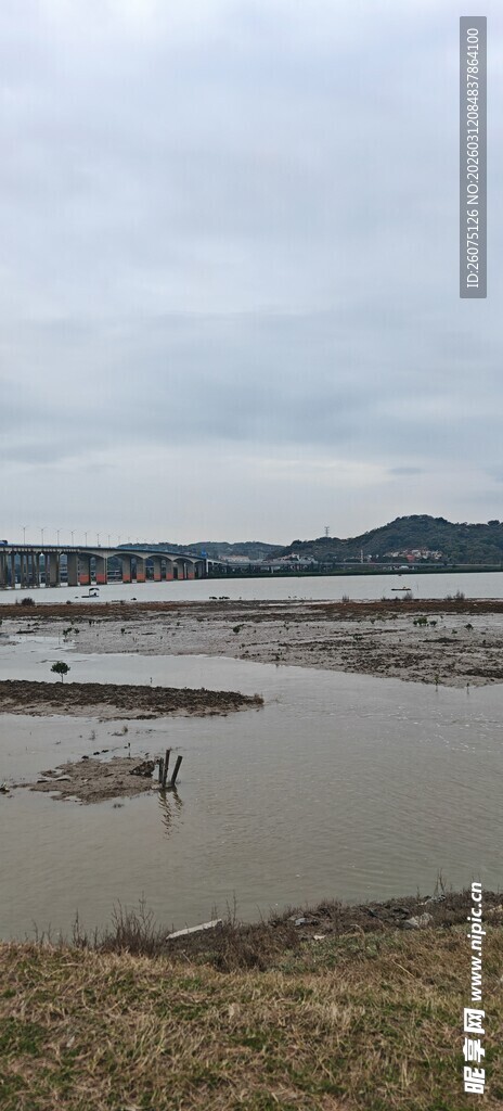 湿地风光水域与植被景观