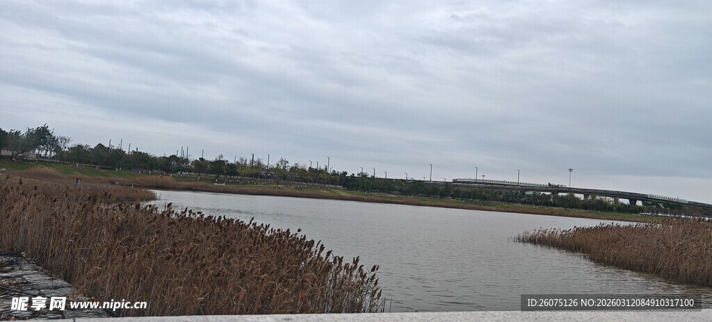 宁静水边自然风光