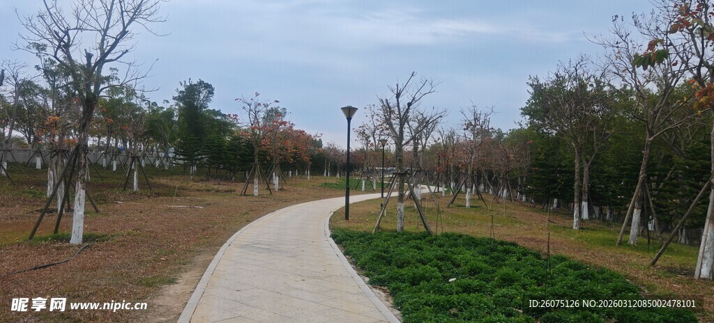 林间漫步小道自然景致