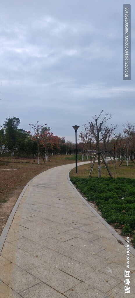 户外漫步小道清新景致