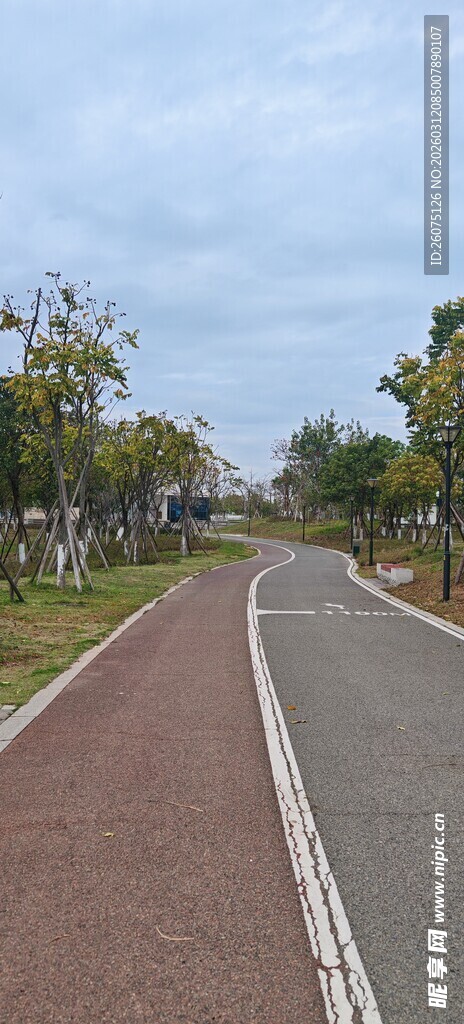 户外休闲骑行道路风景