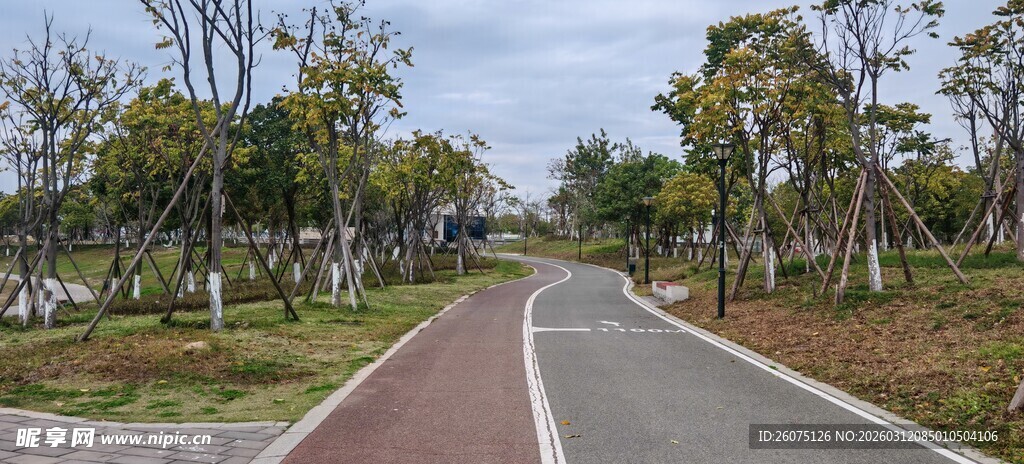 林间蜿蜒公路风景