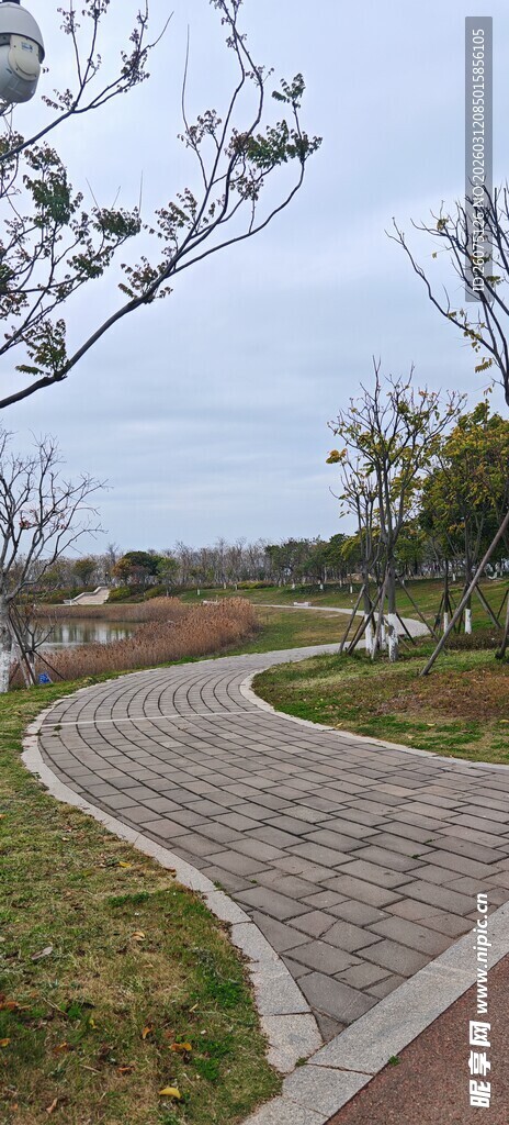 蜿蜒小径公园中的静谧之路