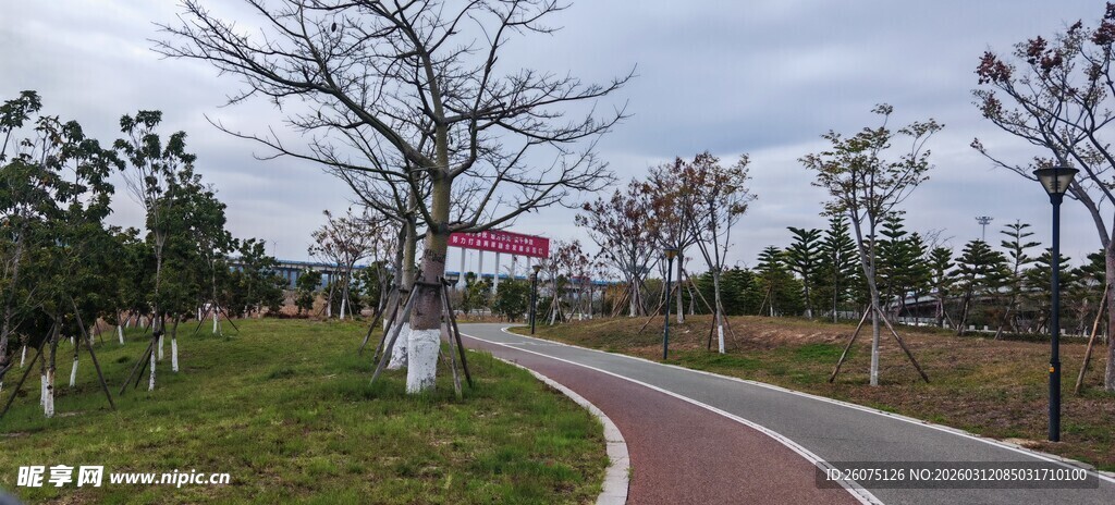 公园蜿蜒小径与开阔绿地