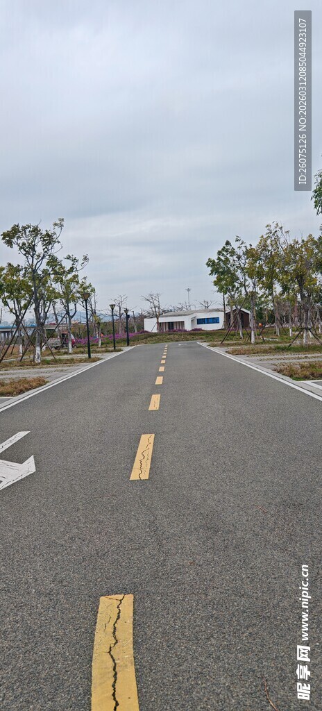 空旷公路两旁绿树相伴