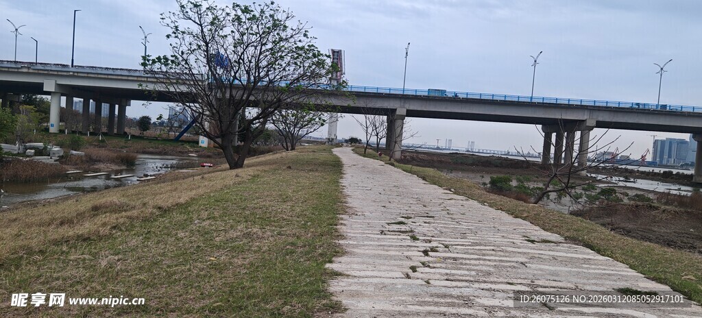 河畔步道与远处桥梁景观